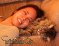 Cozy Cat -- Cat Life at Its Best! logo