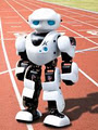 CustoBots International image 4