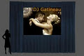 DJ GATINEAU - Danse Mobile Outaouais Mariages image 2