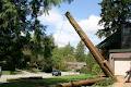 DL Tree Services Langley image 6