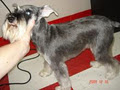 DOG GROOMER image 5