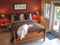 Deer Fern (Ocean View) Bed and Breakfast image 3