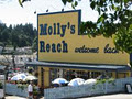 Deer Fern (Ocean View) Bed and Breakfast image 1