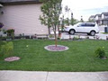 Devine Landscape & Bobcat Services Ltd. image 1