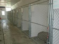 Diamond in the Ruff Kennels image 3