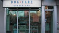Dog Care Wonderland image 1
