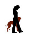 Dog Insight logo
