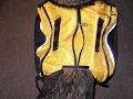 Dog Sport Gear image 5
