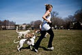 Dog Training Toronto - Fetching image 1