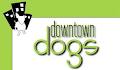 Downtown Dogs - Obedience Training, Grooming & Dog Daycare image 2