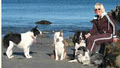 Dreamweavers Dog Training image 4