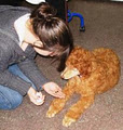 Dreamweavers Dog Training image 5