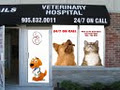 Dufferin Rutherford Veterinary Hospital logo