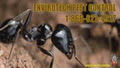 EnviroTech Pest Control image 4