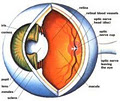 Eye Care Clinic image 5
