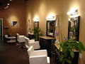 Fire & Ice Hair Company image 3