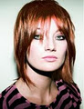 Fire & Ice Hair Company image 1