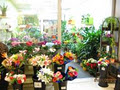 Fleuriste Fleurissimo image 4