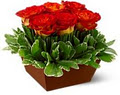 Flowerland Florist image 2