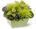 Flowerland Florist image 1