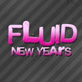 Fluid New Years Montreal image 5