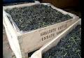 Granite Creek Estate Wines image 3