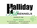 Halliday Hill Kennels image 2
