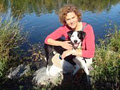 Happy Pets, Dog Walking & Pet Services, Ottawa image 1