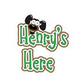 Henrys Here Dog Walking & Pet Sitting image 2