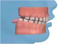 Herongate Dental Clinic logo