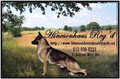 Hinesonhaus Reg'd German Shepherds Of Distinction logo