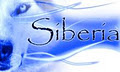 Husky Siberia logo