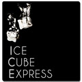 Ice Cube Express: Vancouver Ice Delivery image 2