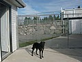 Just Like Home Doggy Boarding Kennel image 1