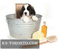 K9 Toronto Dog Grooming image 3