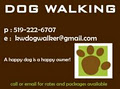 KW Dog Walker logo