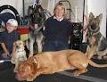 Kawartha Canine Dog Training image 3