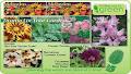 Keon Garden Centre image 3