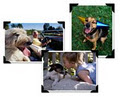 Lane Veterinary Services image 3