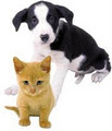 Lane Veterinary Services image 4