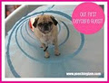 Le Salon et Spa Poochie Glam image 5