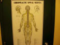 Life Chiropractic Centre image 3