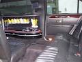 Limousine and Party Bus by SEG image 4