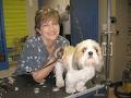 Linda's Pet Grooming Boutique & Spa image 3