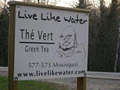Live Like Water image 4
