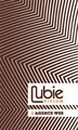 Lubie Vision logo