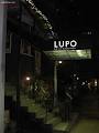 Lupo Restaurant & Vinoteca image 5