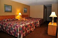 Luxury Inn image 4