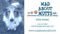 Mad About Mutts - Montreal Dog Walking & Pet Sitting image 5