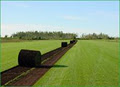 Manderley Turfgrass Edmonton image 1